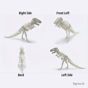 DIY 3D Printed T-Rex Dinosaur Model Kit | Desk Showpiece